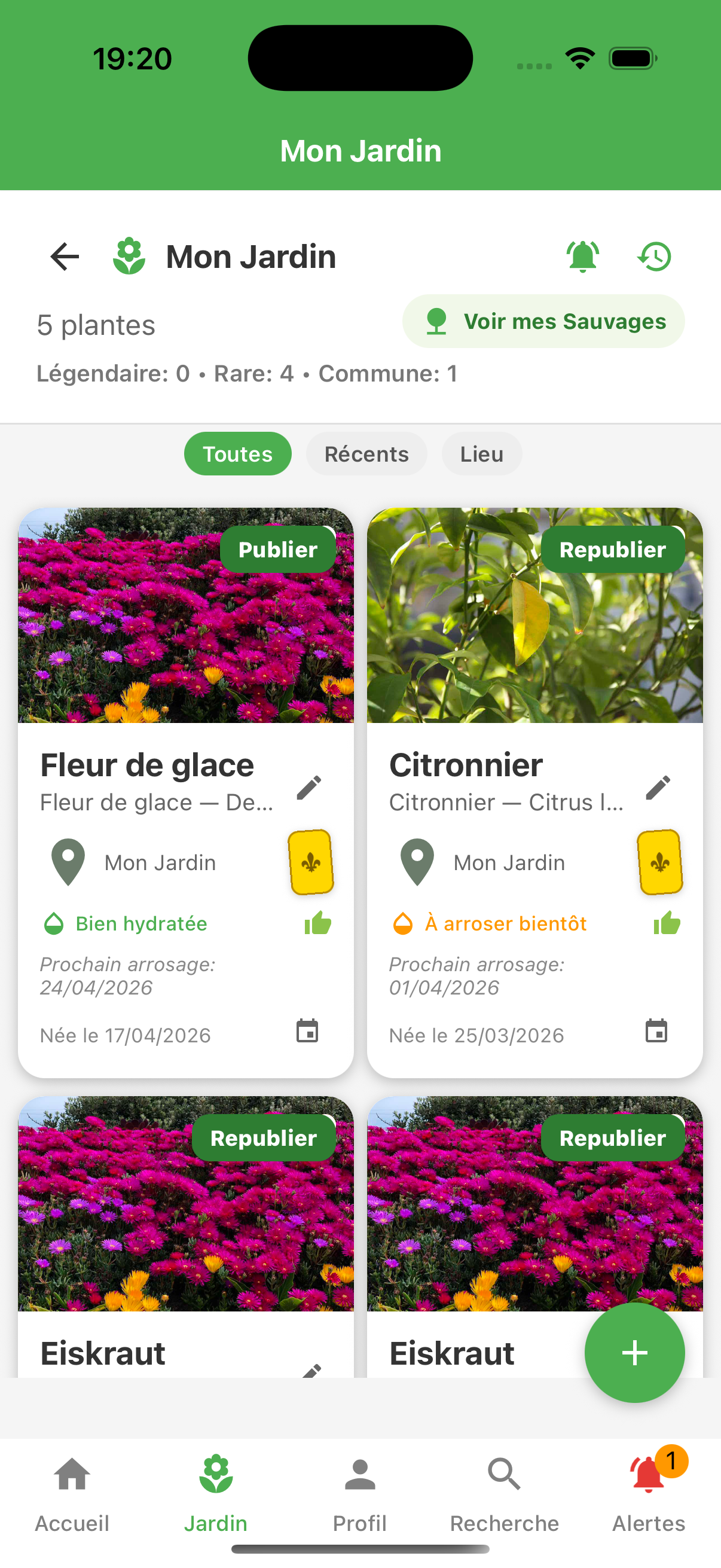 Mon Jardin