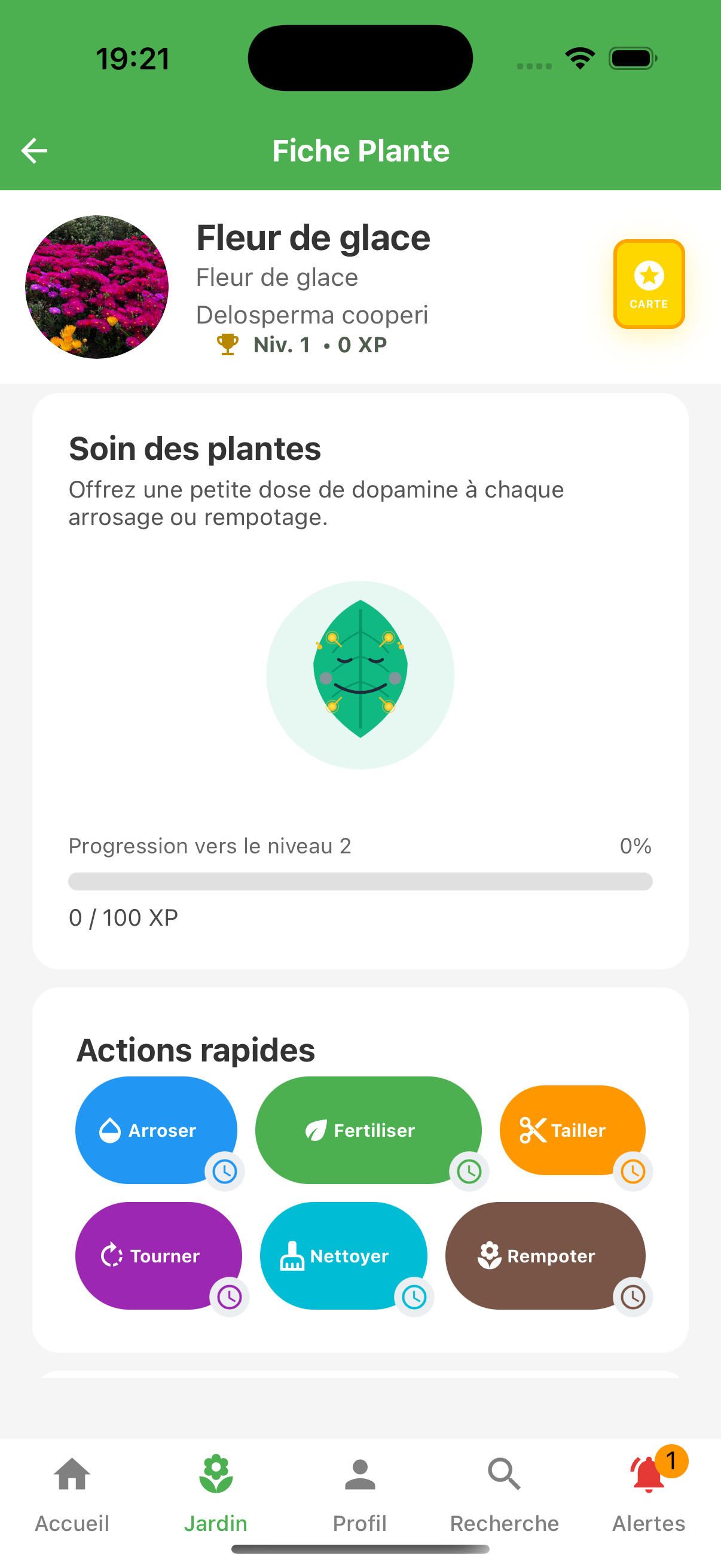 Fiche Plante